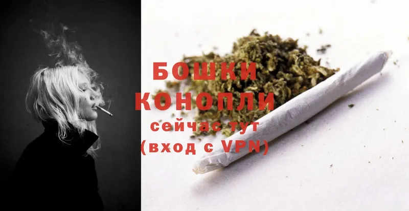 Бошки Шишки OG Kush  Мураши 